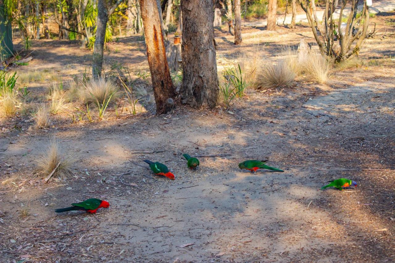 Kalimna Woods cabañas Lakes Entrance Exterior foto