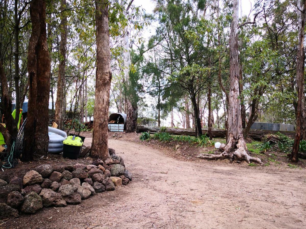 Kalimna Woods cabañas Lakes Entrance Exterior foto